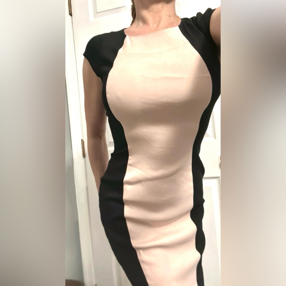 French Connection Viscose fitted sheath dress bodycon colorblock